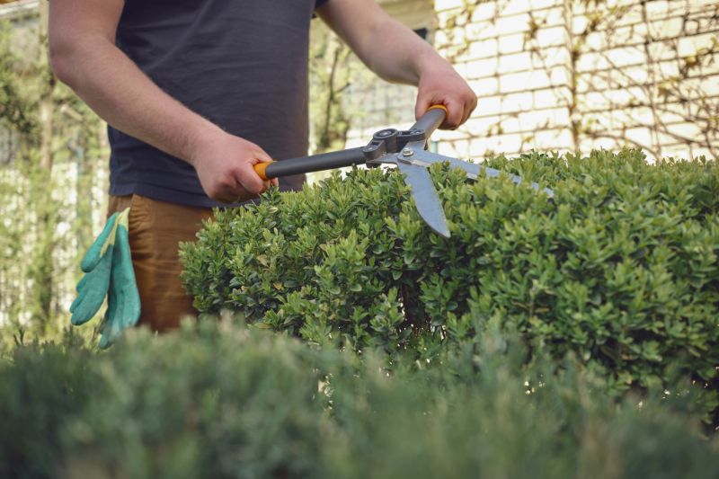 Local Boxwood Shrub Pruning pros at work