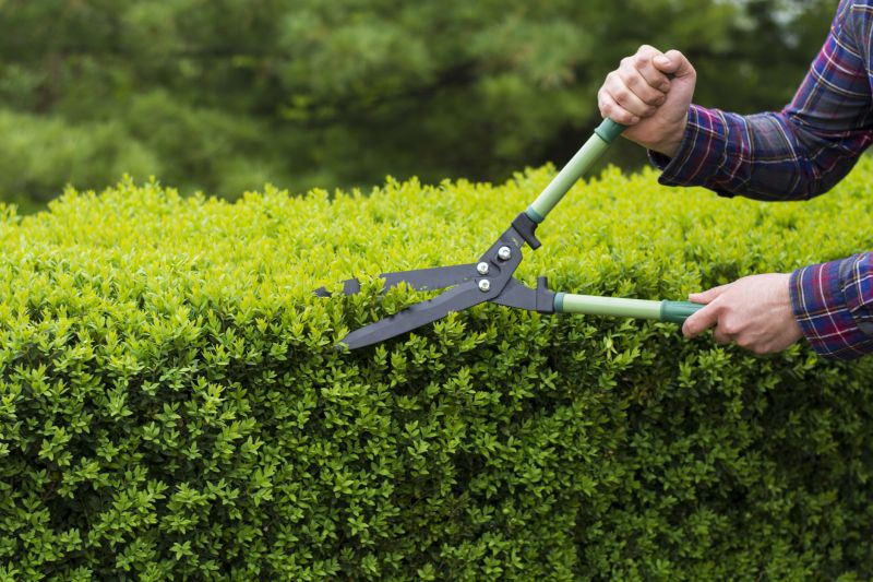 Seasonal Pruning Tools