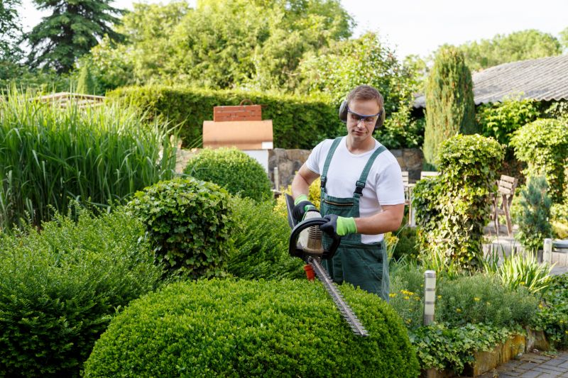 Boxwood Shrub Pruning