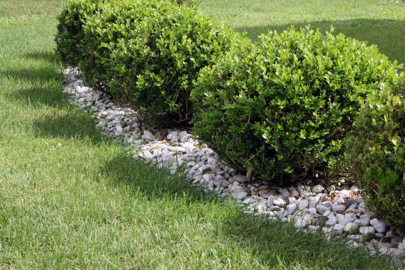 Healthy Shrubs Post-Pruning